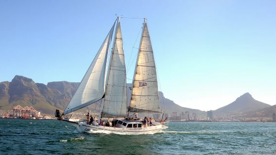 Cape Town: Du thuyền sâm panh trước hoàng hôn kéo dài 1 giờ