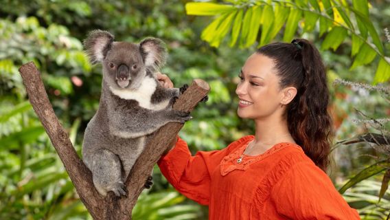 Gói Bạn bè trong Rừng nhiệt đới: Vườn Koala và Thế giới chim