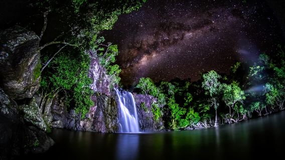 Airlie Beach: tour di andata e ritorno a Cedar Creek.