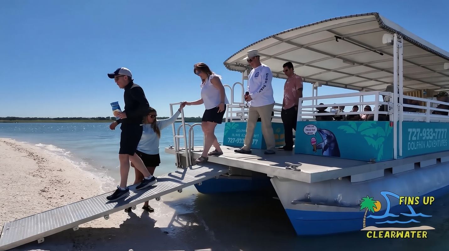 Clearwater Beach: Dolphin & Island Sandbar Cruise