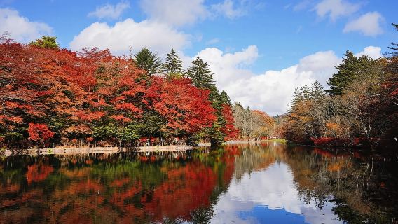 1-day tour to Karuizawa Prince Shopping Plaza/Hoshino Resort & Kawagoe Hikawa Shrine
