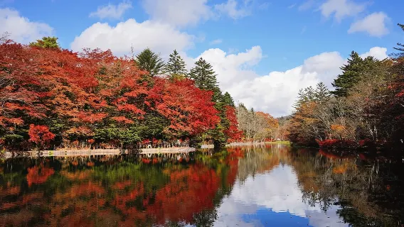 Excursion d'une journée à Karuizawa Prince Shopping Outlets, Hoshino Resort et Hikawa-jinja
