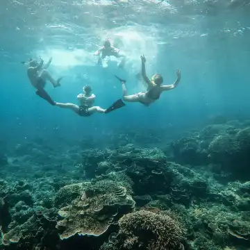 殘影Gili From Gili Air: Snorkeling with Turtles & Underwater Statue | Trip.com