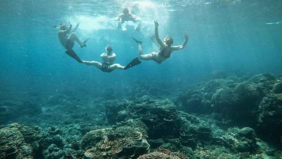 Desde Gili Air: Buceo con tortugas y estatua submarina