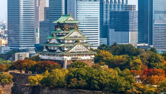 日本沖繩 翻譯陪同 地陪旅遊 展會翻譯 商務考察 接機 地接 （可私人定制）