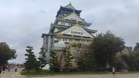 Desde Kioto: Excursión de un día a Nara, Osaka y Kobe: 3 ciudades en 1 día