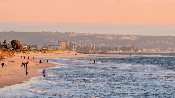 阿德萊德市容+格雷爾海灘一日遊｜2人成團上門接送｜11人小團