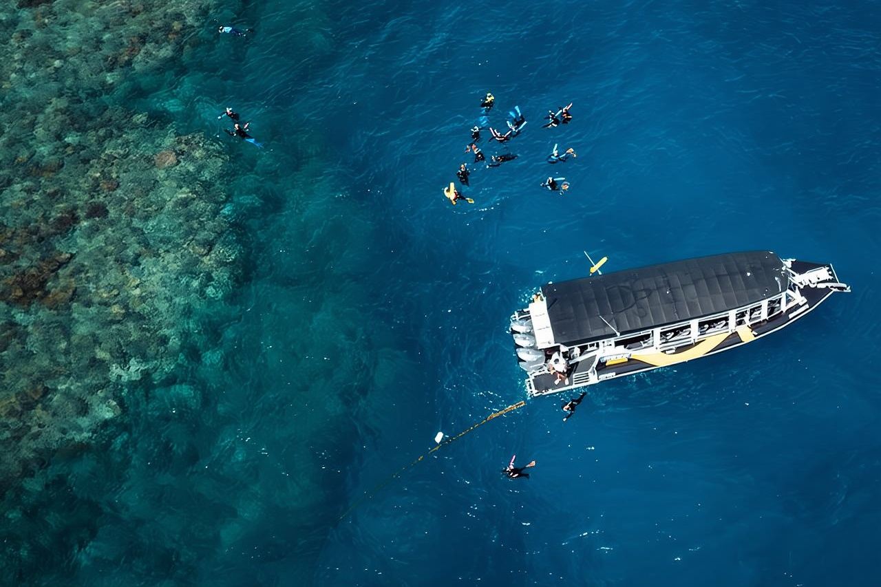 Cairns Half Day Tour a Great Barrier Reef Snorkeling Experience