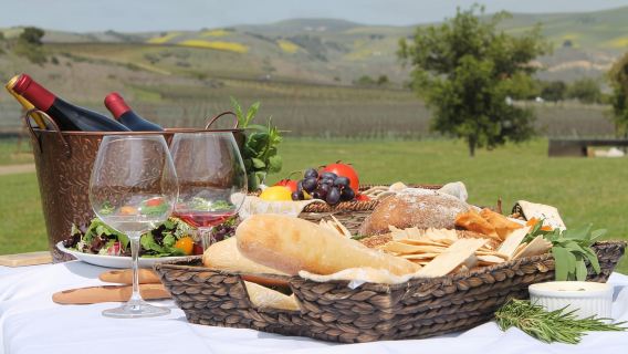 Santa Bárbara: tour de vino en bicicleta eléctrica con transporte, degustación y almuerzo