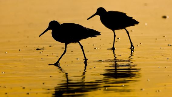 Sudáfrica · Ciudad del Cabo|Itinerarios personalizados/Servicio de traslado/Transporte punto a punto