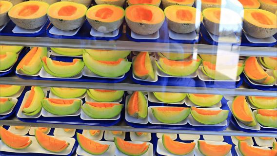 Sapporo: Tour del Mare di Fiori di Hokkaido Biei-chō Furano con Pranzo a Buffet