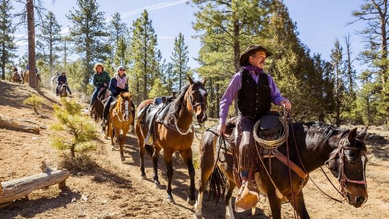 Город Брайс Каньон: конная прогулка по Ред Каньону.