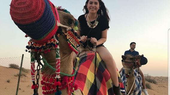 Safari por el desierto y sandboarding con cena en Dubái