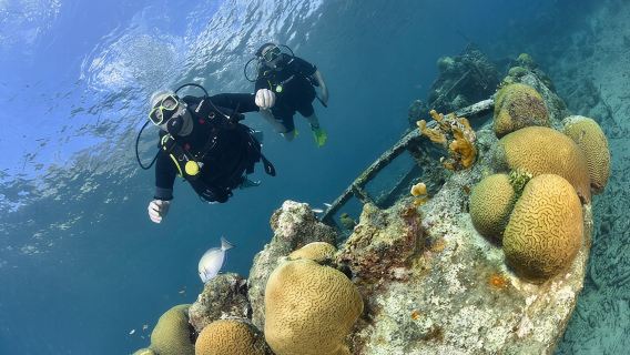 Discover Scuba Dive in Curacao