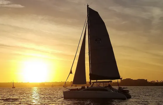 2.5 小時小團體雙體船航行（含飲品）