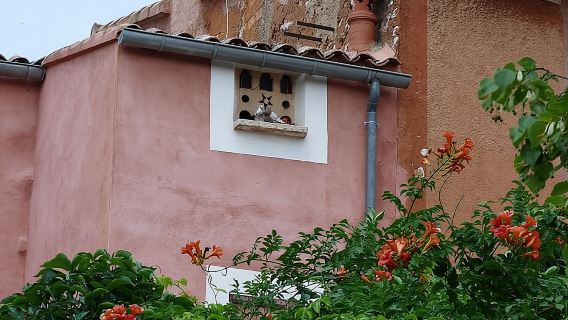 Highlights of Provence : Chateauneuf du Pape & Luberon