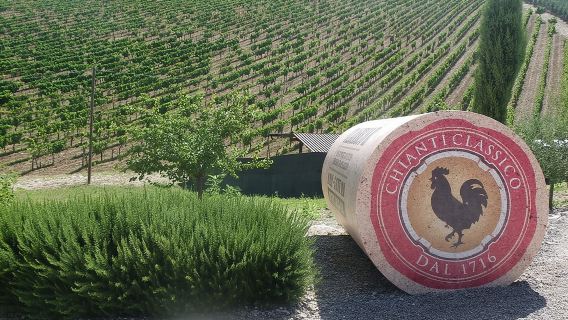 Magliano in ToscanaTours