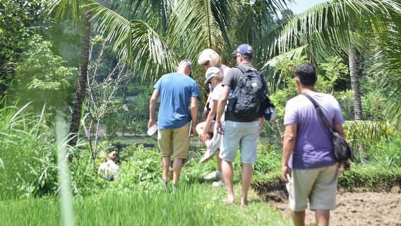 Tetebatu Walking Tour - Rice Terraces, Waterfall & Monkey Forest