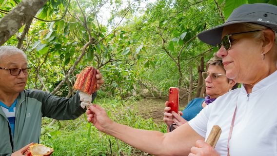 Riserva ecologica di mangrovie di Churute e piantagione di cacao