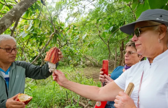 Churute紅樹林生態保護區及可可農場