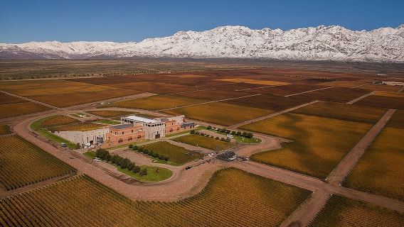 Mendoza