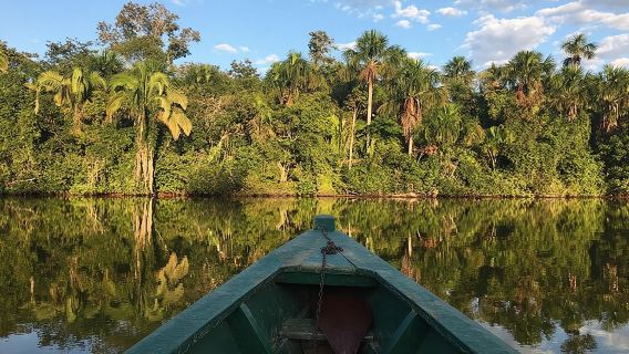 Reserva Nacional del Lago Sandoval, senderismo y búsqueda de vida silvestre