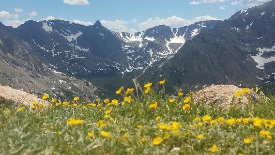 Rocky Mountain National Park in Summer Tour from Denver