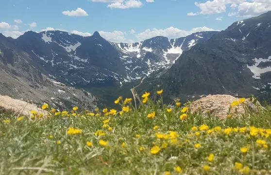 從丹佛出發的落基山國家公園夏季之旅