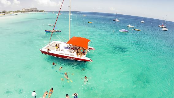 Barbados Catamaran Turtle Snorkel with Lunch and Open Bar