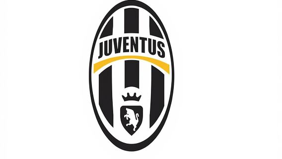 ユベントス スタジアム ~ セリエA チャンピオンズリーグ ~ ユベントスのホーム入場チケットは観客限定ではありません 【セリエAサッカーの魅力を没入体験/チケット回収不要】