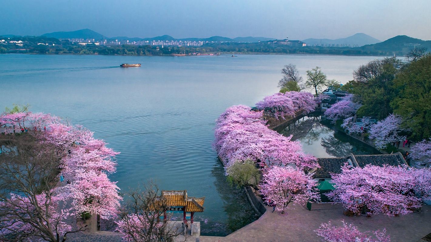 黿頭渚猩咖說|含門票|私家團|文史大咖2-3H深度趣講