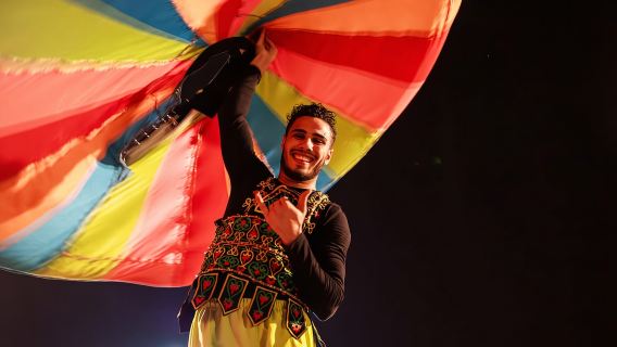 Self-Arrival VIP Desert Safari with Falcon Photo