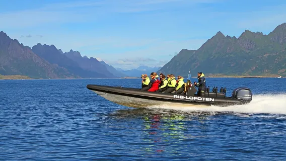 Safari en RIB por las águilas marinas de Lofoten y crucero por el fiordo Trollfjord