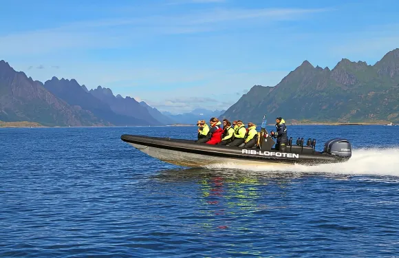 羅弗敦RIB海上鷹獵遊及精靈峽灣郵輪之旅