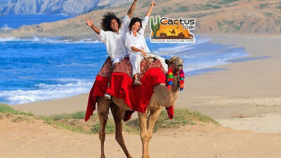 Beach Camel Ride & Encounter in Cabo 