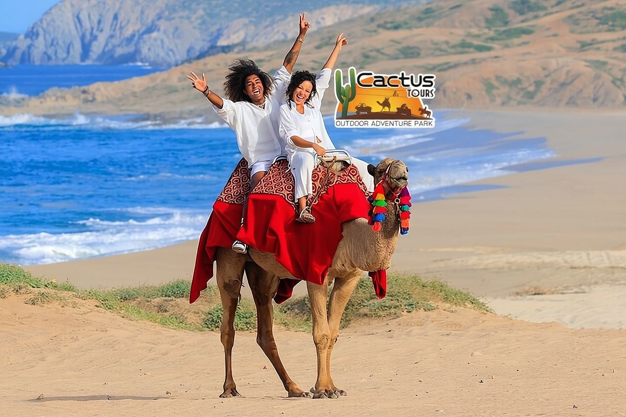 Beach Camel Ride & Encounter in Cabo 