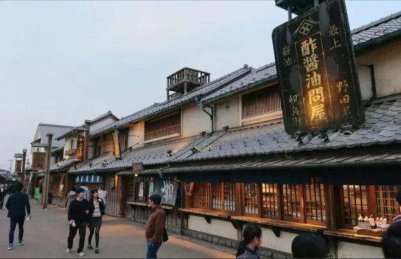 國營常陸海濱公園 & 足利花卉公園之旅