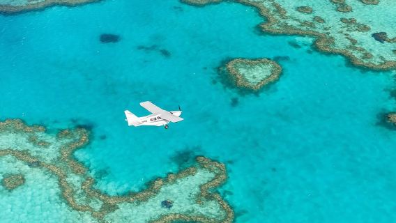 Airlie BeachTours