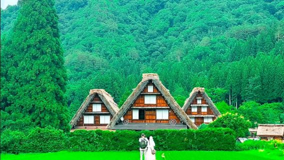 【日本名古屋】白川鄉+高山一日遊