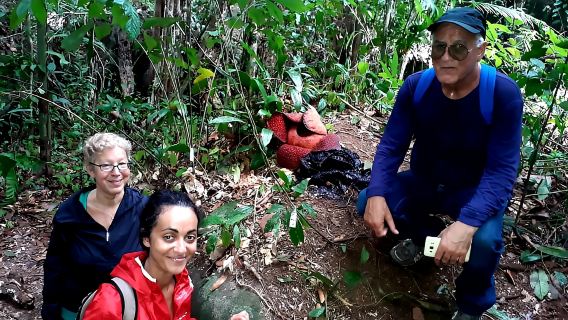 Tagesausflug zum Gunung Gading National Park in Sarawak inklusive Mittagessen