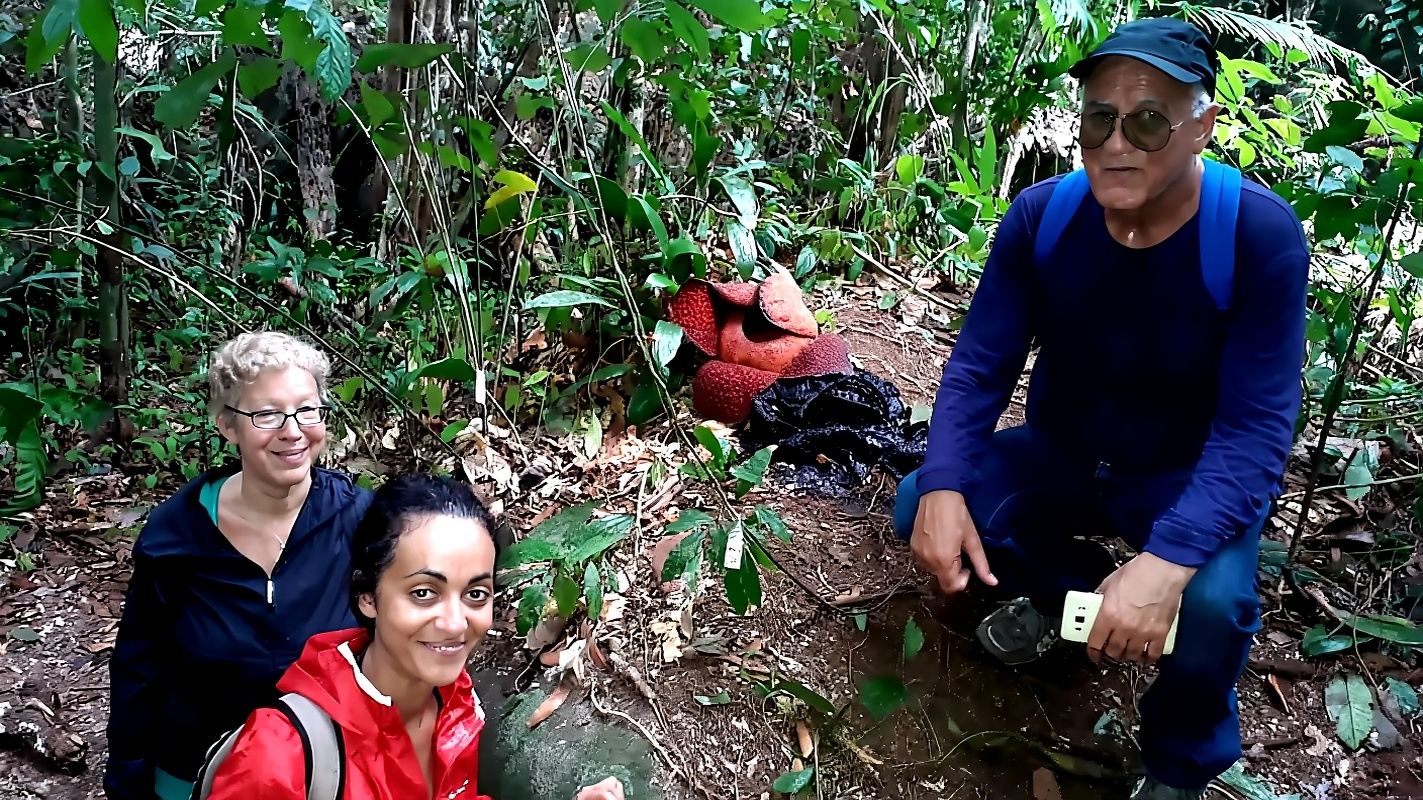 Tour giornaliero al Parco nazionale di Gunung Gading a Sarawak con pranzo