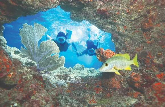 基韋斯特雙倍浮潛之旅－兩站遊玩，雙倍樂趣！