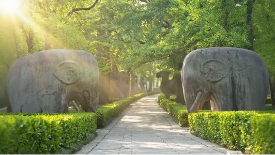 18-person small tour group: Sun Yat-sen Mausoleum + Music Stage + Wutong Avenue + Meiling Palace + Ming Xiaoling Mausoleum