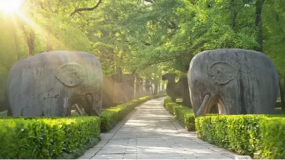 Đoàn tham quan nhỏ 18 người: Lăng Tôn Dật Tiên + Sân khấu ca nhạc + Đại lộ Ngô Đồng + Cung điện Mỹ Linh + Lăng Minh Hiếu Lăng