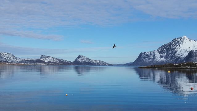 ทัวร์ฟยอร์ด ภูเขา และสัตว์ป่า