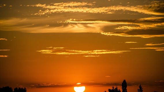 Cambodia Siem Reap Small Circle Bayon Temple + Ta Prohm Temple + Phnom Bakheng Temple one-day tour- trip