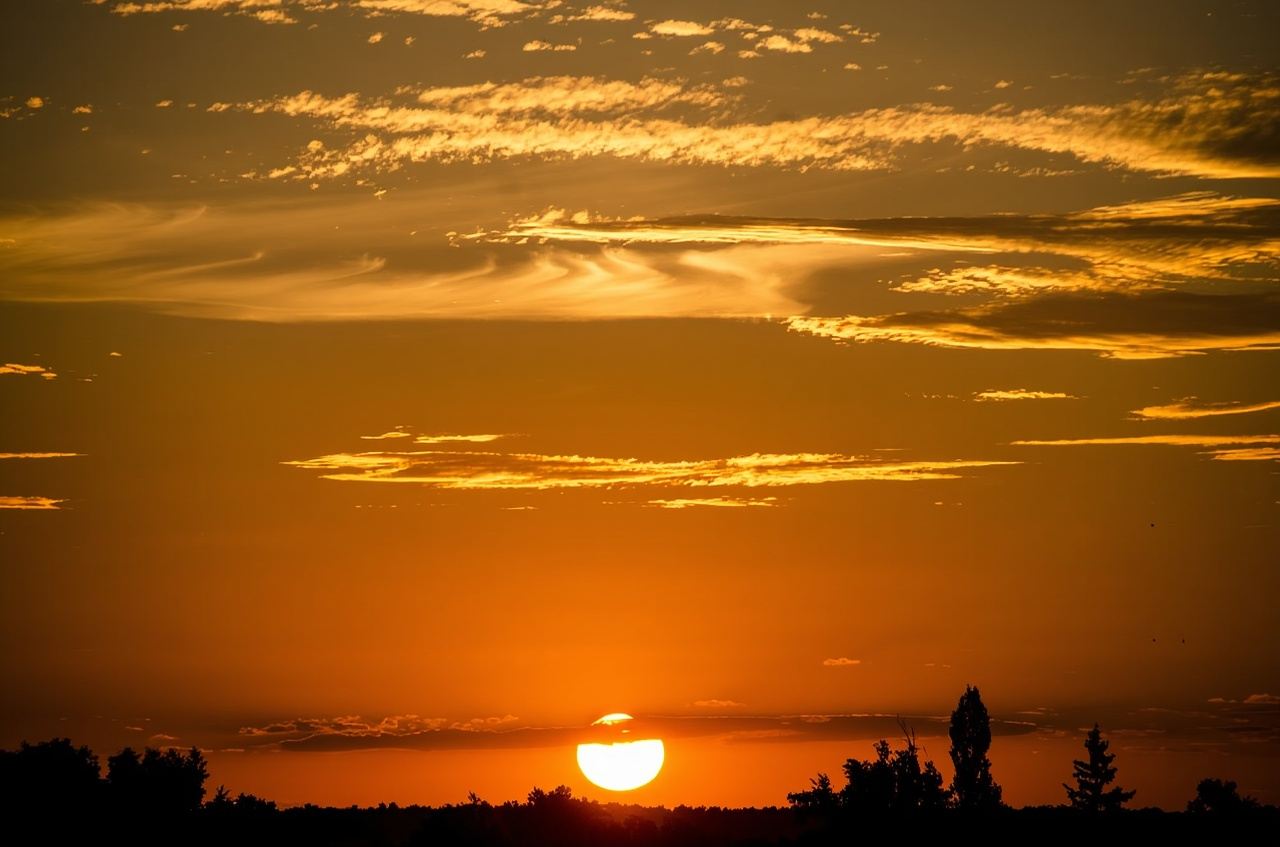 Siem Reap Small Circuit Day Tour: Bayon Temple + Ta Prohm Temple + Phnom Bakheng - trip