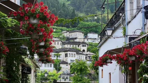 From Tirana: Gjirokastër Day Trip with Guided Tour