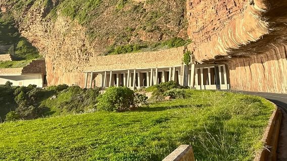 Cape Town: Full Day Cape of Good Hope with Penguins Tour