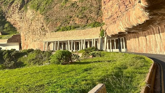 Cape Town: Full Day Cape Peninsula with Penguins Tour